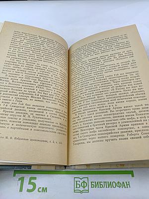 Железный Гай