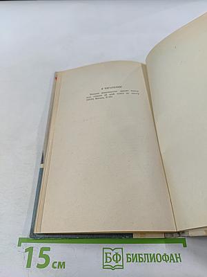 Железный Гай