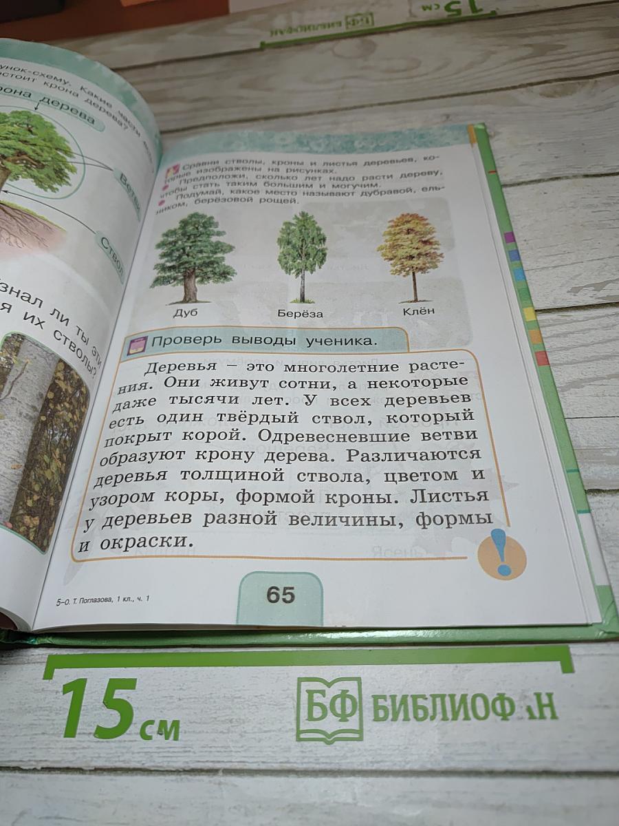Окружающий мир 1 класс, Часть первая