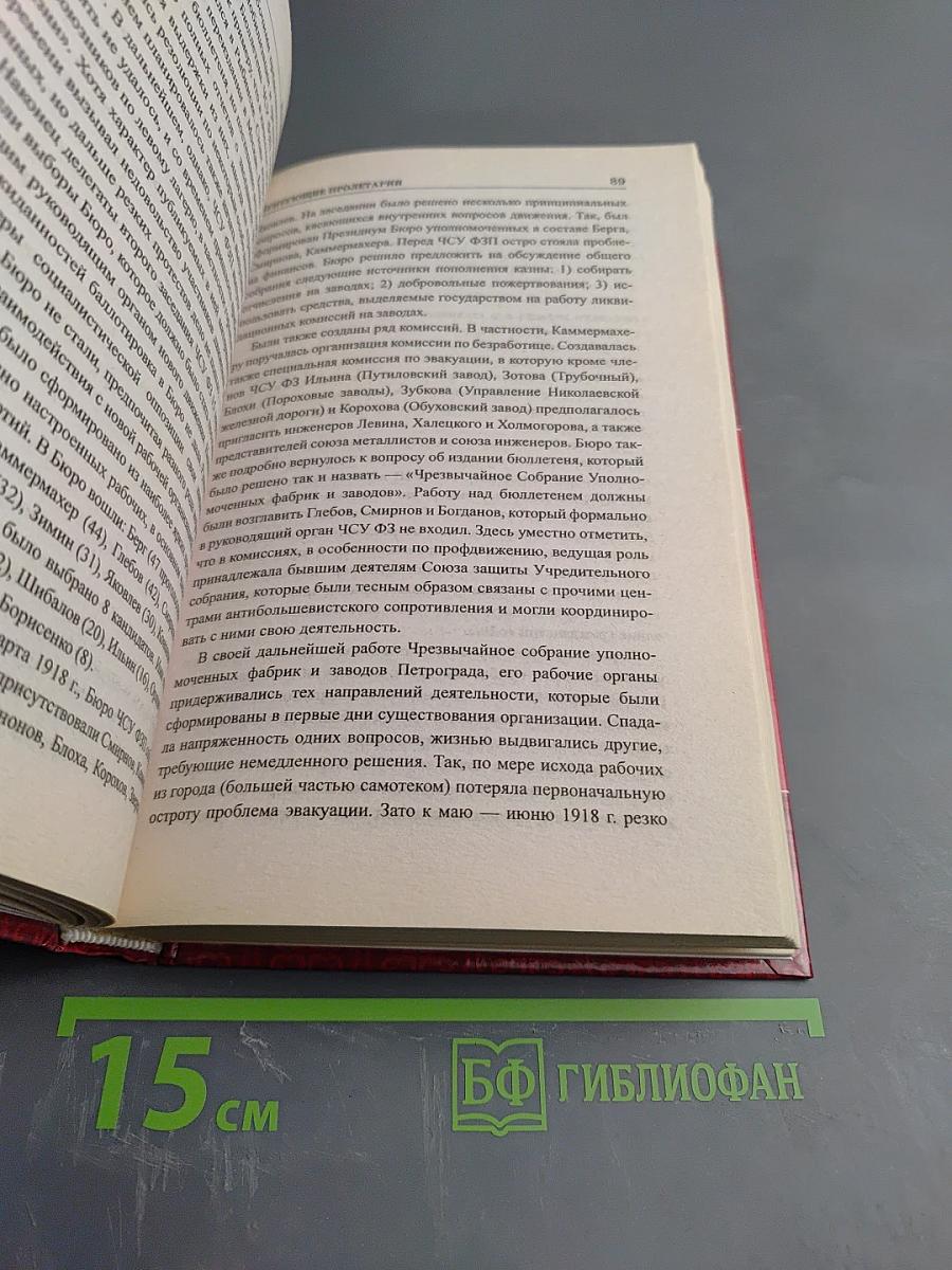 Бунтующие пролетарии: рабочий протест в Советской России (1917–1930-е гг.)