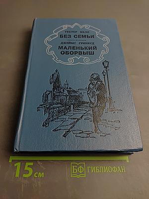 Без семьи. Маленький оборвыш