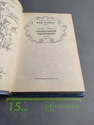 Без семьи. Маленький оборвыш