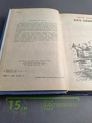 Без семьи. Маленький оборвыш