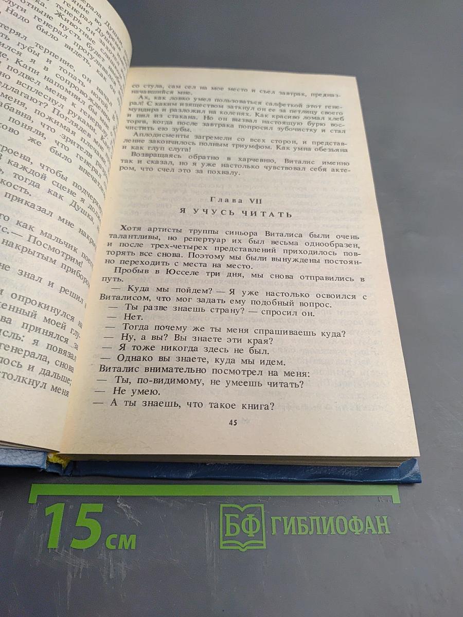 Без семьи. Маленький оборвыш