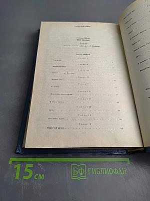 Без семьи. Маленький оборвыш