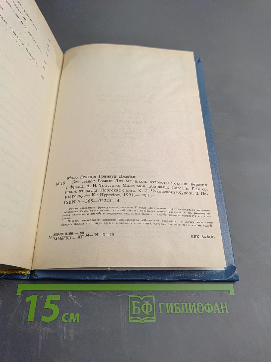 Без семьи. Маленький оборвыш