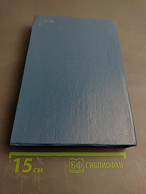 Без семьи. Маленький оборвыш