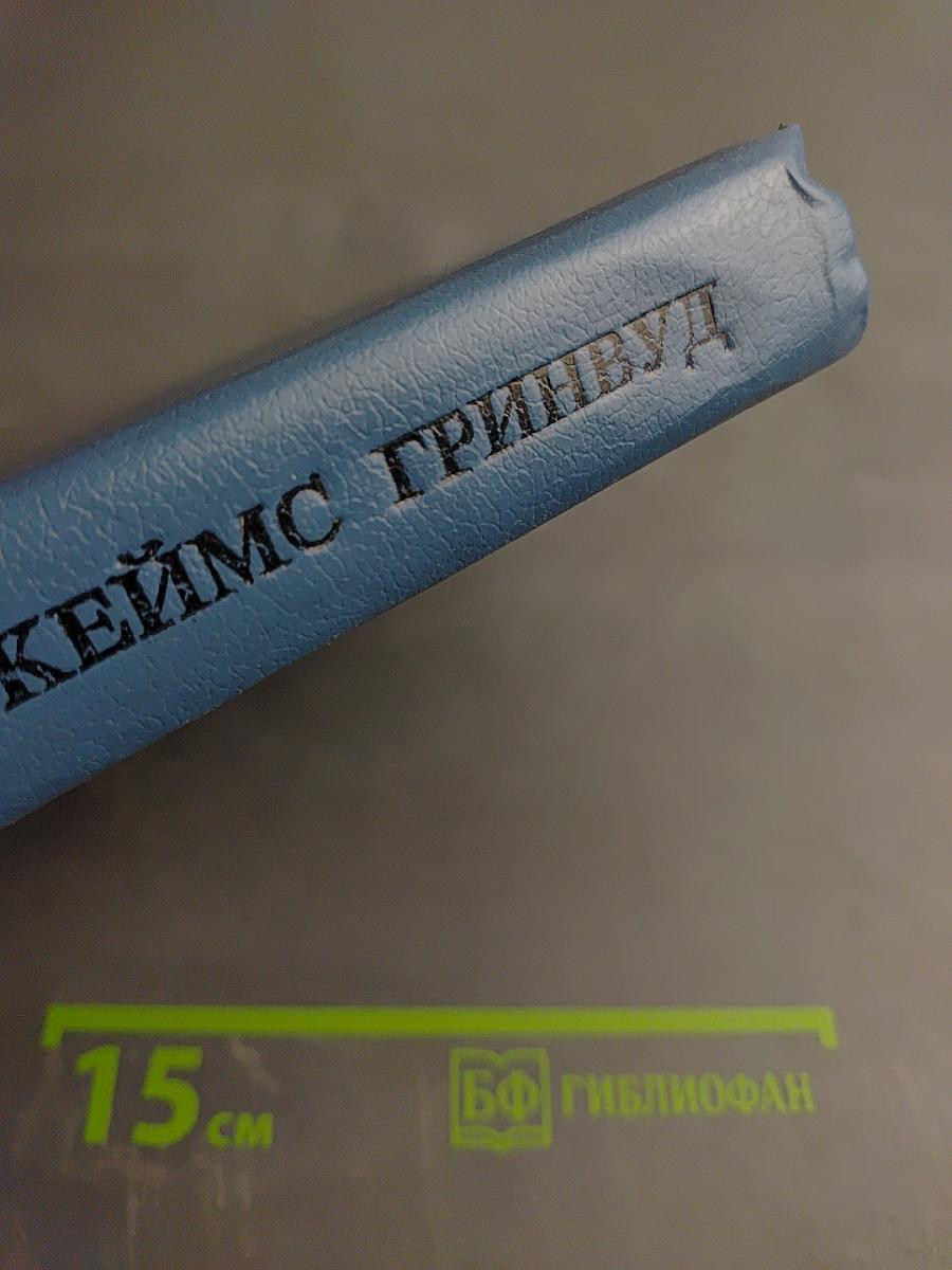 Без семьи. Маленький оборвыш