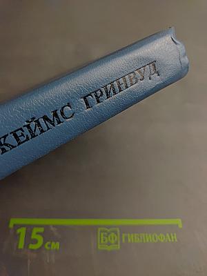 Без семьи. Маленький оборвыш