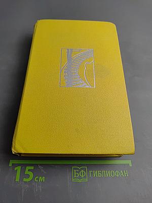 Сосна при дороге