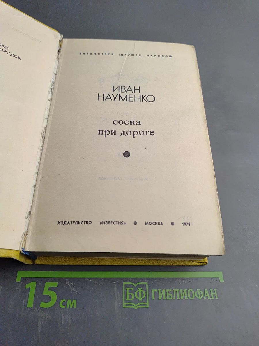 Сосна при дороге