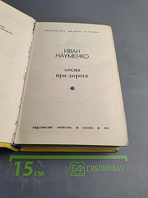 Сосна при дороге