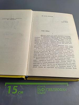 Сосна при дороге