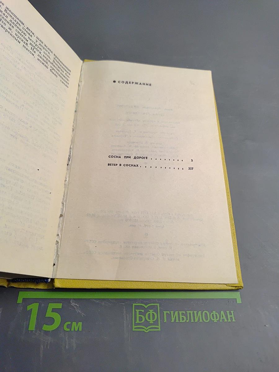 Сосна при дороге