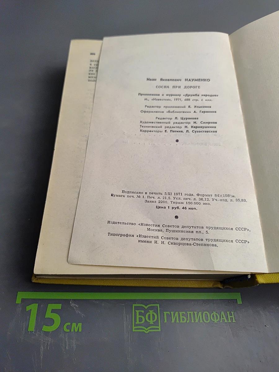 Сосна при дороге