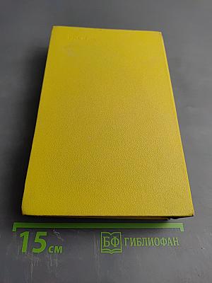 Сосна при дороге