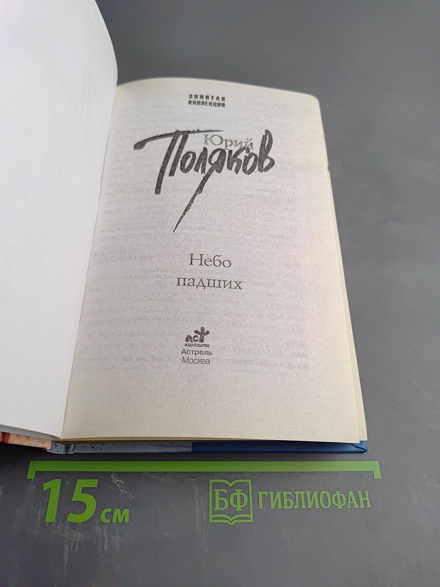 Небо павших