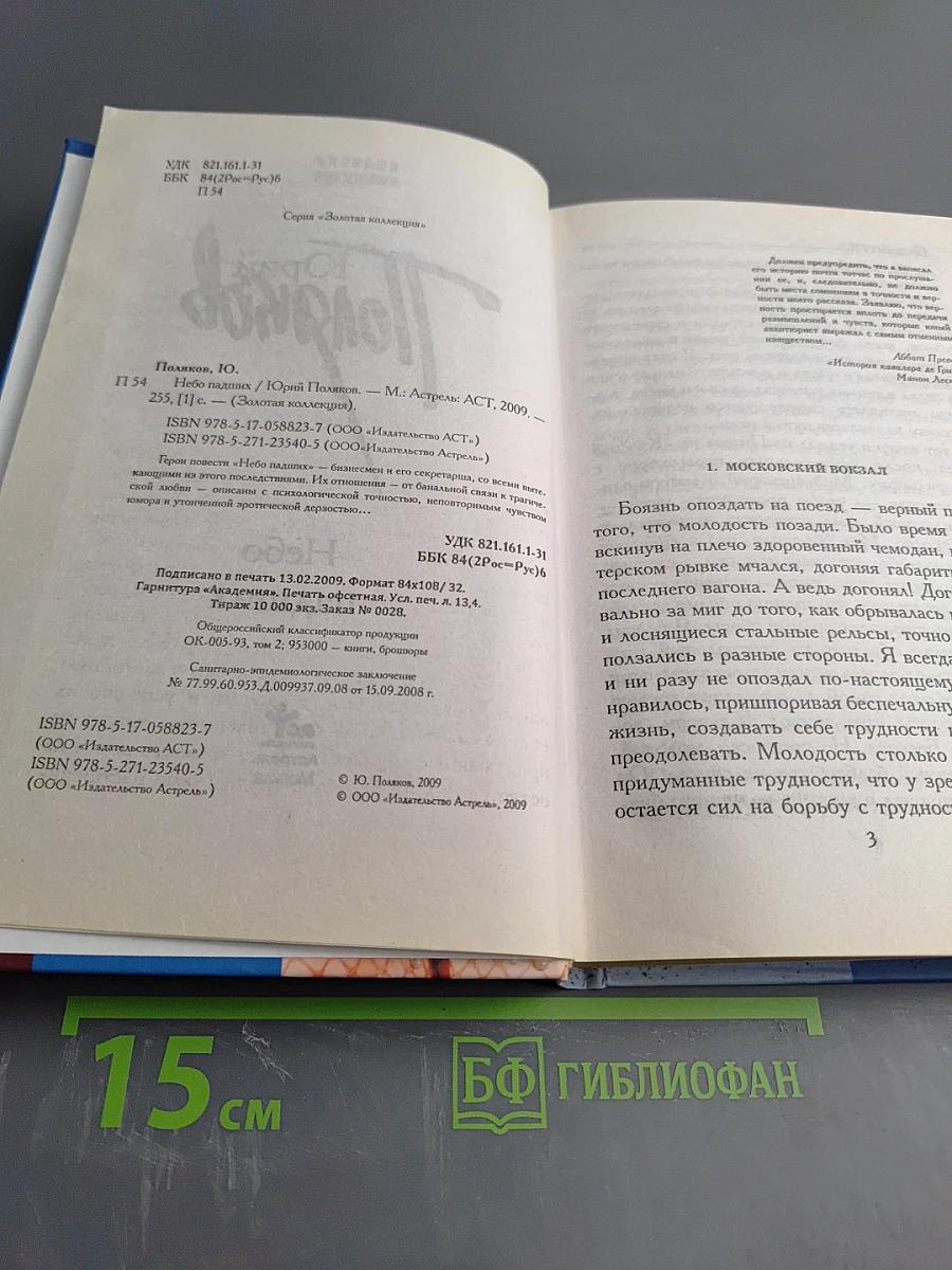 Небо павших