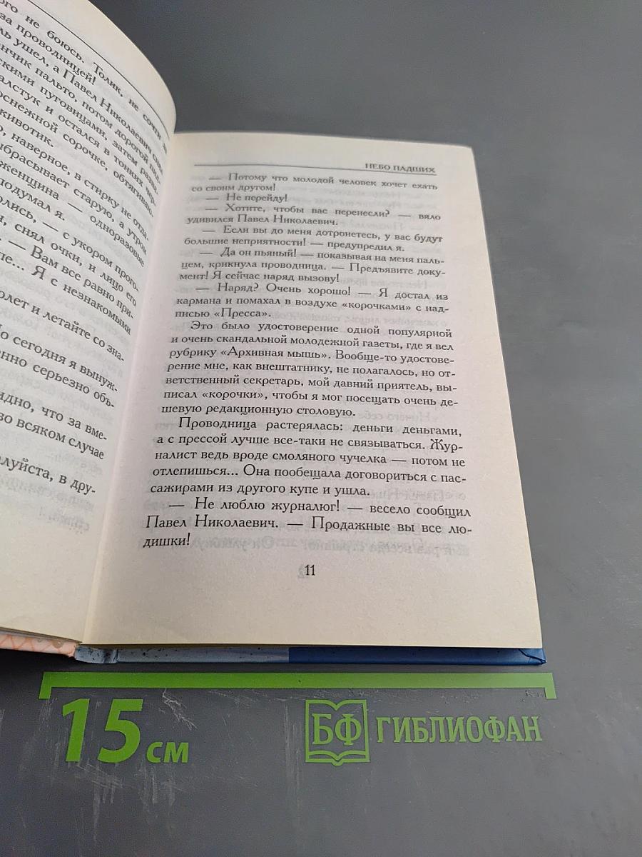 Небо павших