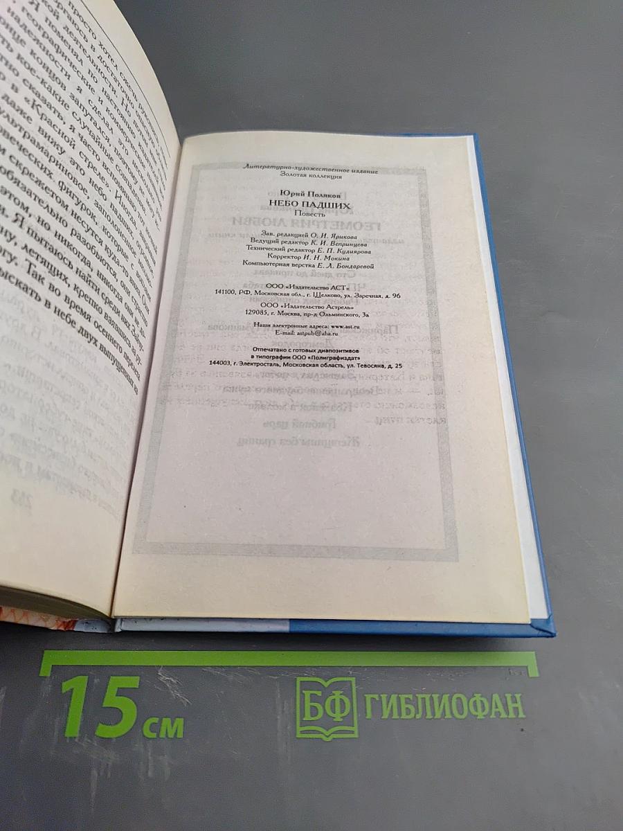 Небо павших