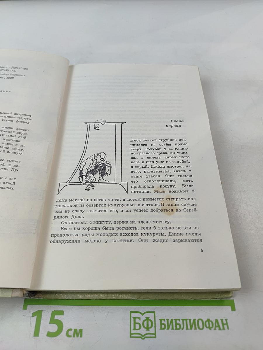 Сверстники