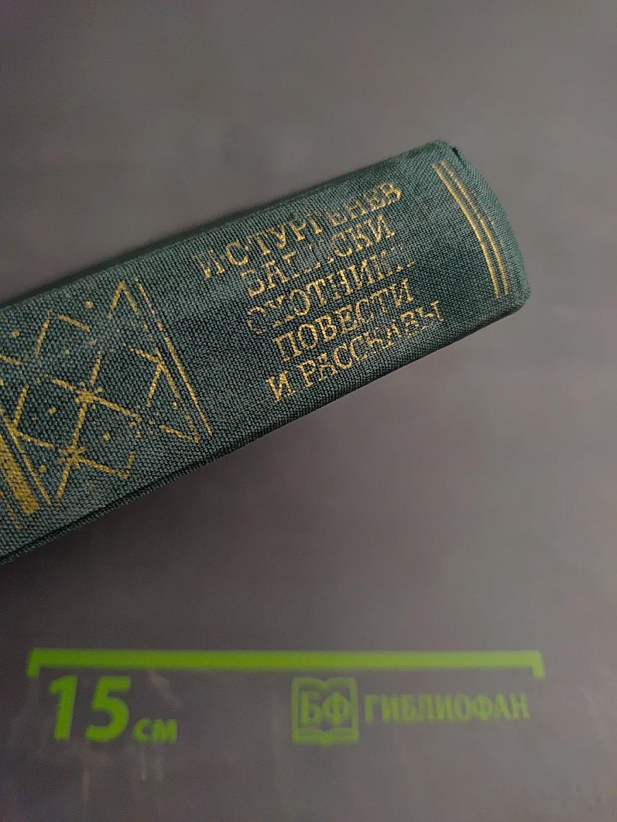 Записки охотника. Повести и рассказы