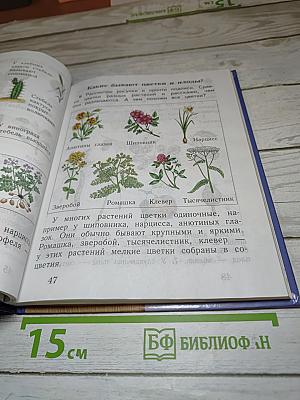Окружающий мир 2 класс Часть вторая