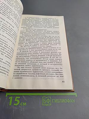 Сказки для горчичников