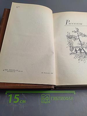 Последний день года