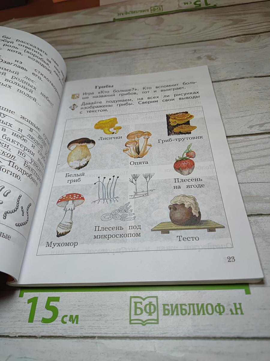 Окружающий мир 2 класс Часть вторая