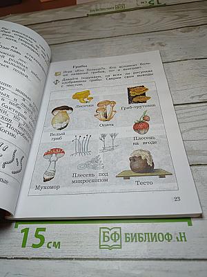 Окружающий мир 2 класс Часть вторая