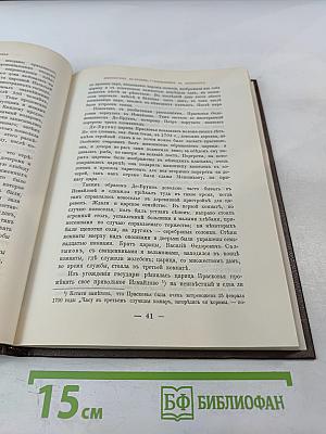 Царица Прасковья 1664-1723. Очерк по русской истории XVIII века
