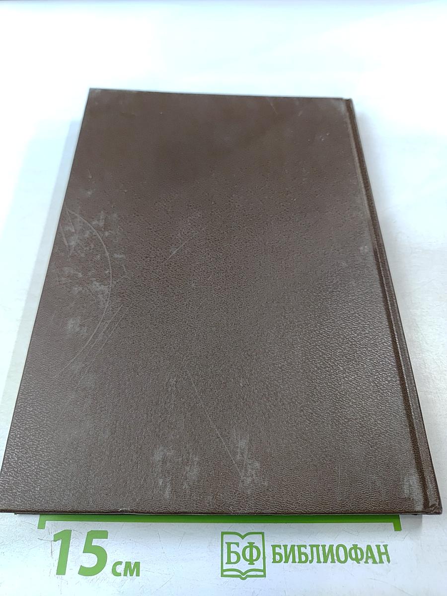 Царица Прасковья 1664-1723. Очерк по русской истории XVIII века