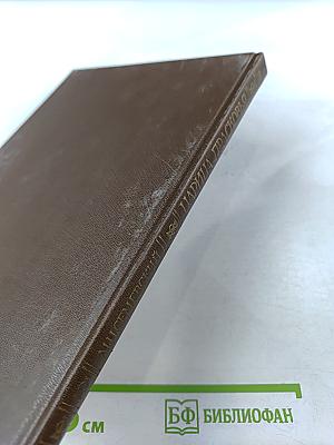 Царица Прасковья 1664-1723. Очерк по русской истории XVIII века