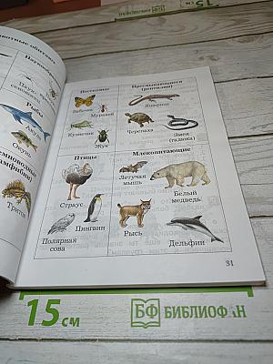 Окружающий мир 2 класс Часть вторая