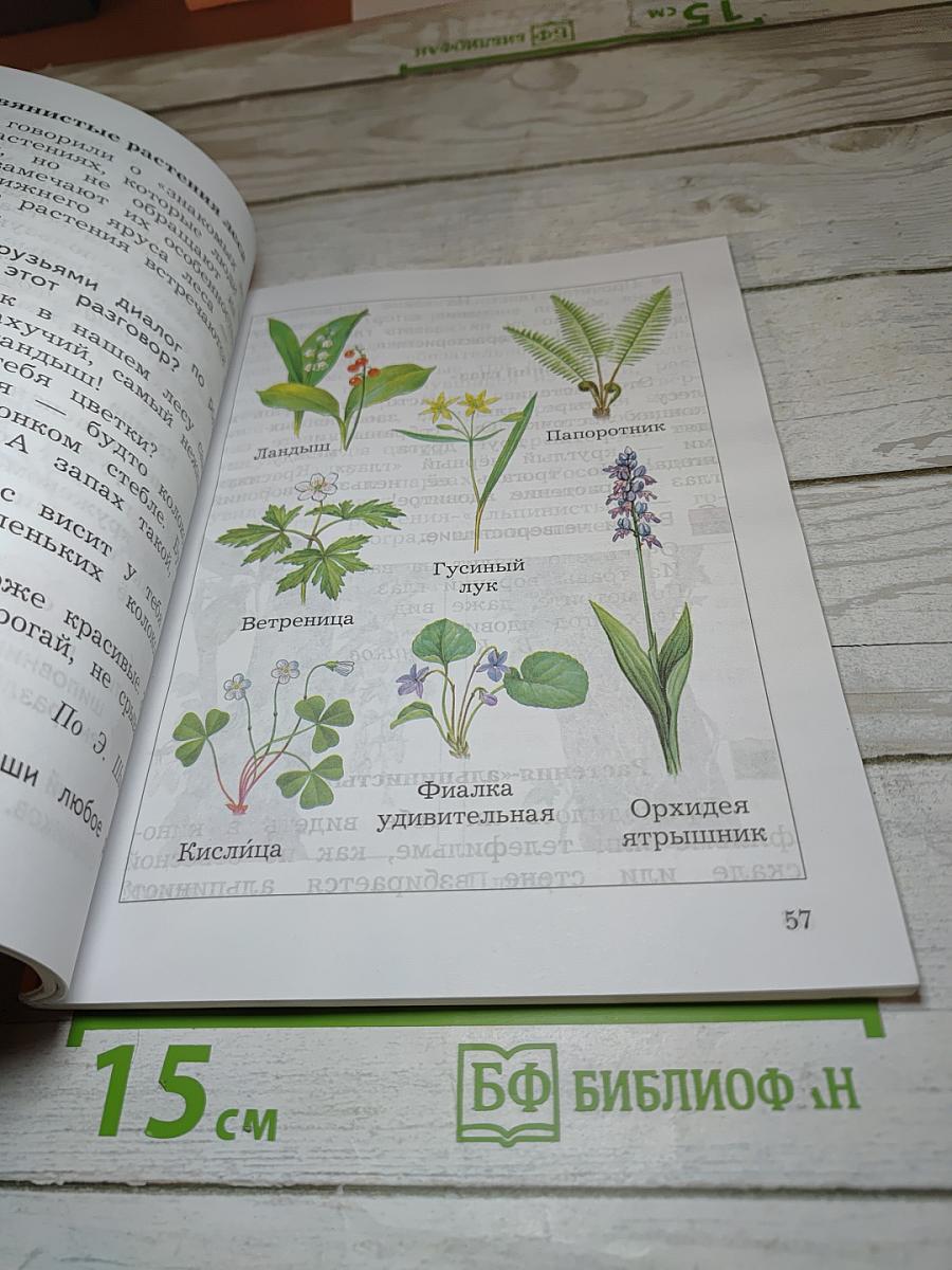 Окружающий мир 2 класс Часть вторая