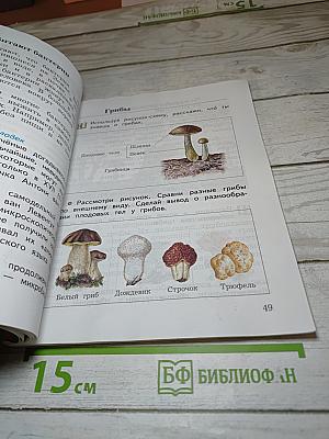 Окружающий мир 3 класс. Часть первая