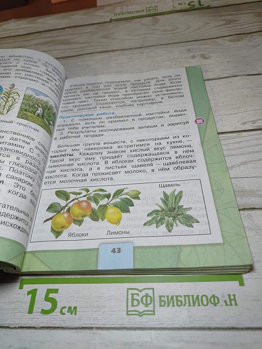 Окружающий мир 3 класс Часть 1