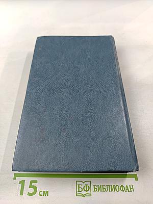 Преследователь