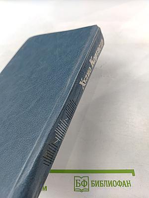 Преследователь