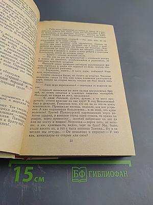 Сердце Бонивура