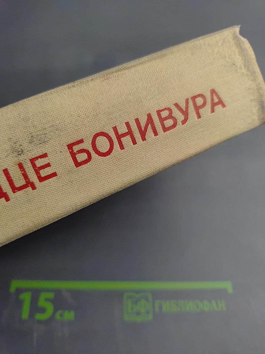 Сердце Бонивура