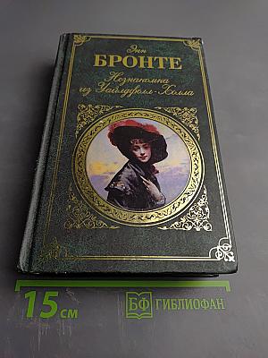 Незнакомка из Уайлдфелл-Холла