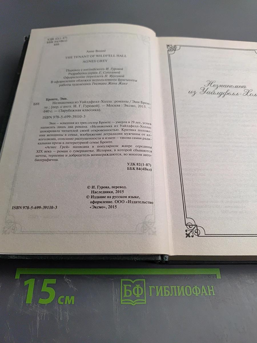 Незнакомка из Уайлдфелл-Холла