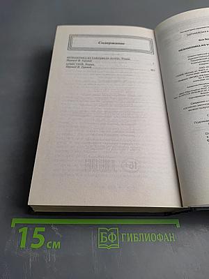 Незнакомка из Уайлдфелл-Холла