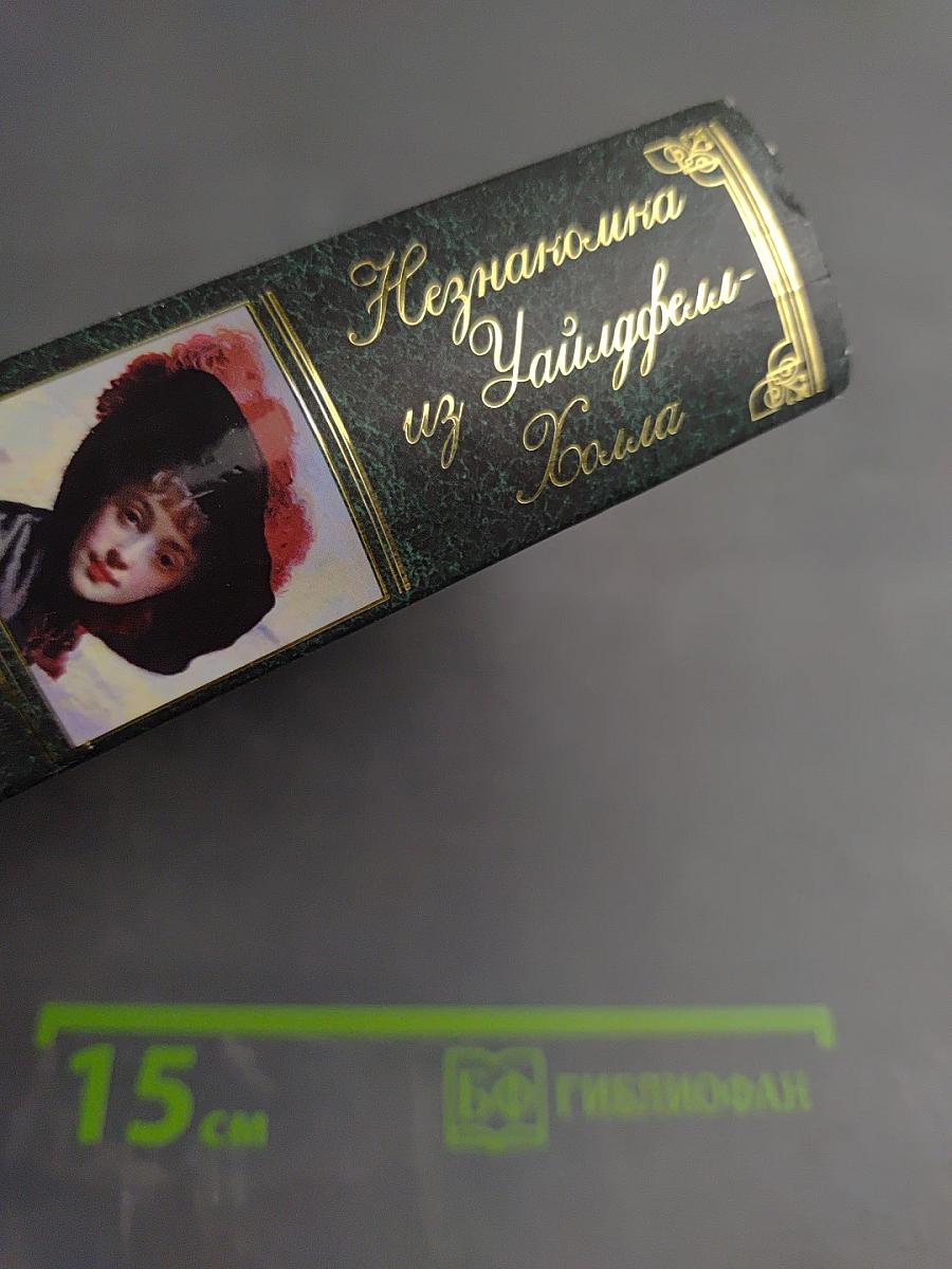 Незнакомка из Уайлдфелл-Холла