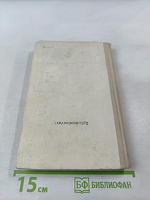 Хирургическое обследование брюшной полости