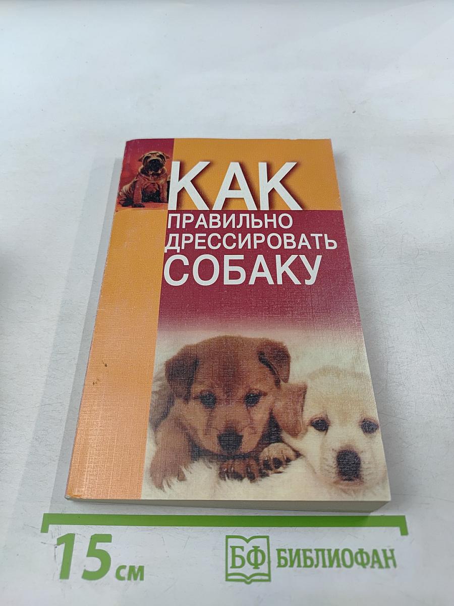 Как правильно дрессировать собаку