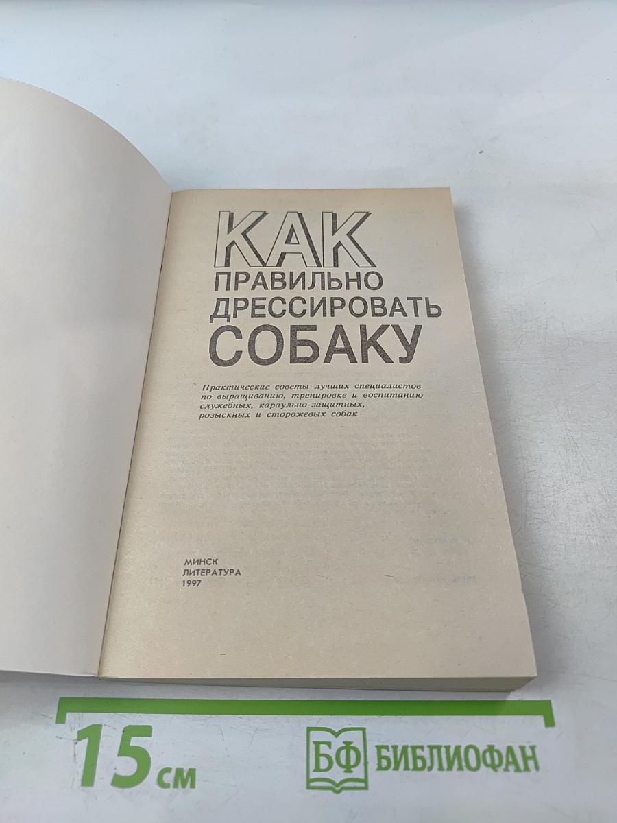 Как правильно дрессировать собаку