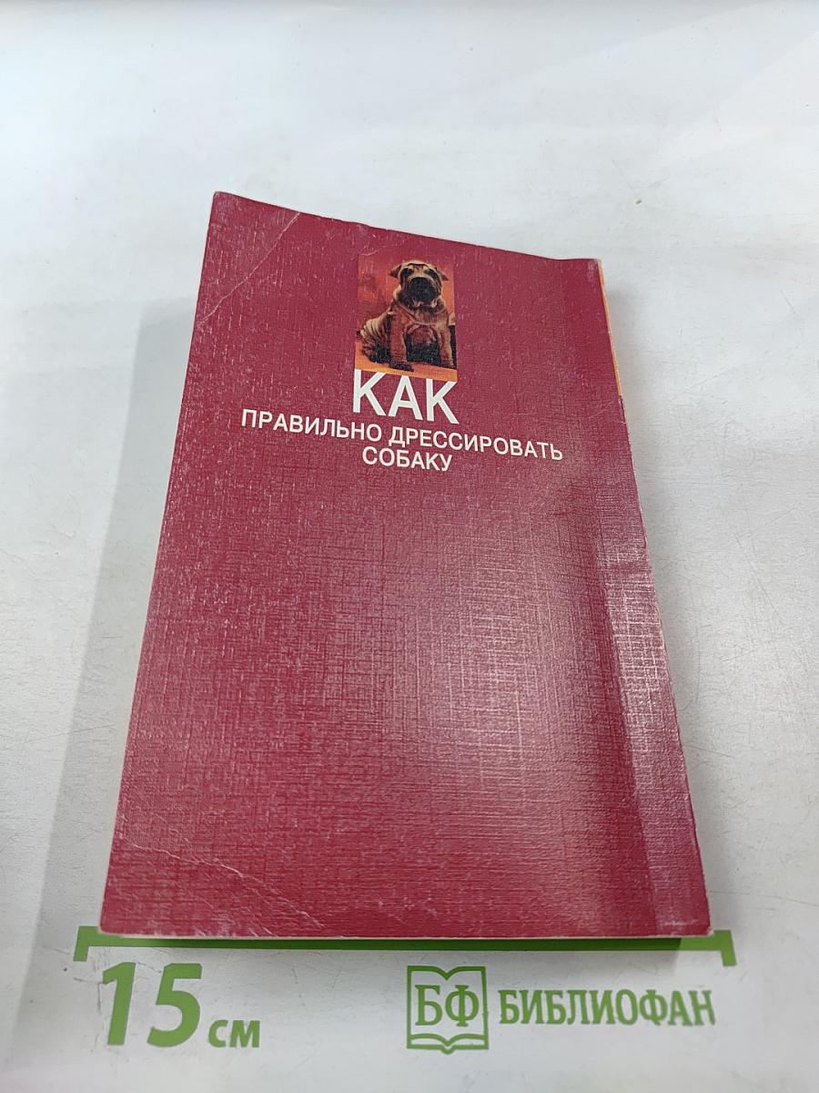 Как правильно дрессировать собаку